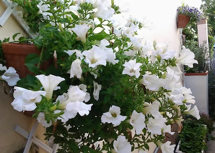 Dolce Valeggio sul Mincio